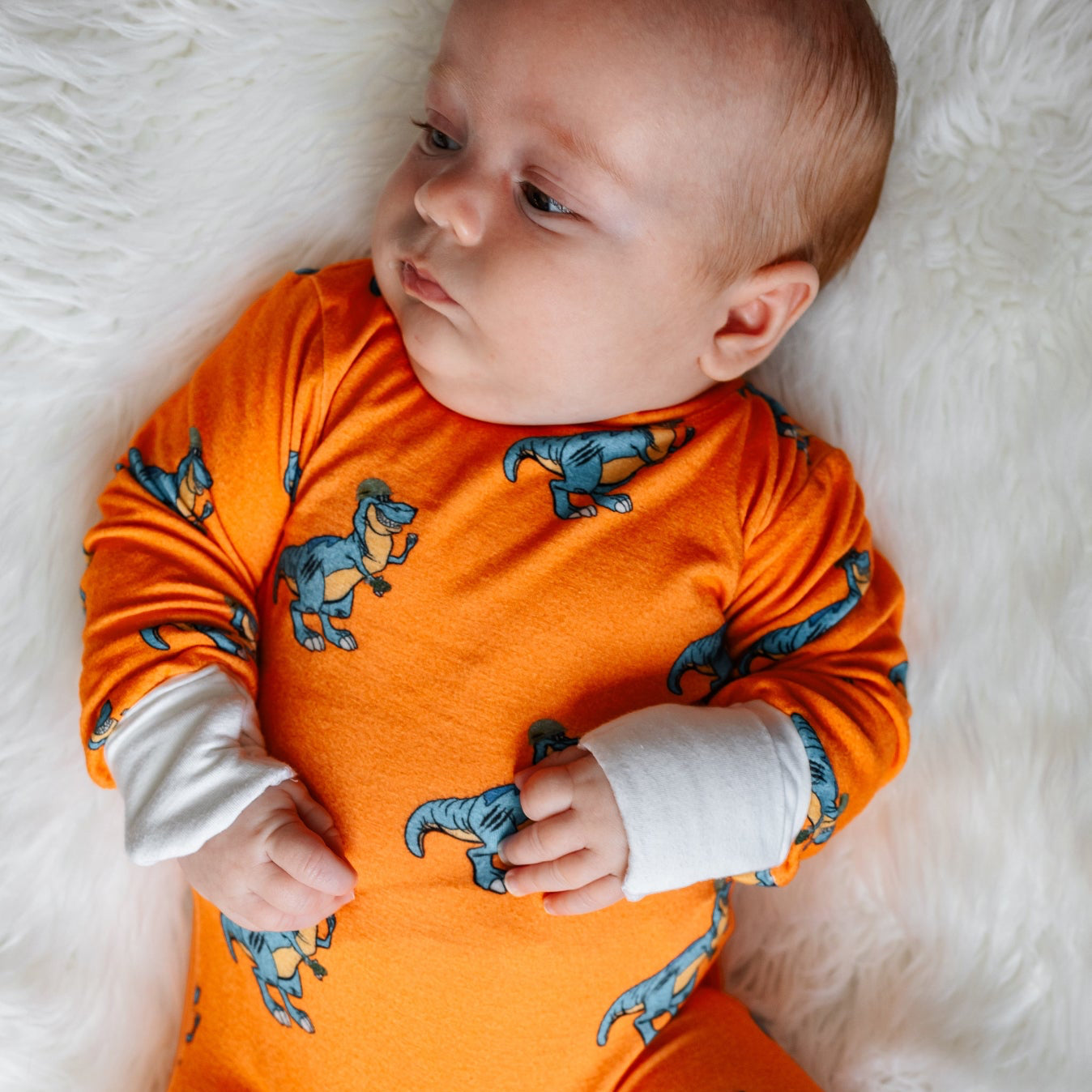 Dangerous Dino Zippie